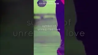 blue rose symbolism #sm #taemin #bluerose #theory
