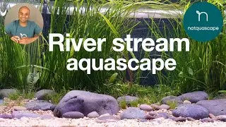 New river stream aquascape (step-by-step guide 2020)