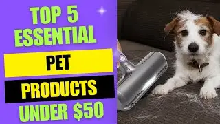 Top 5 Essential Pet Products Under $50