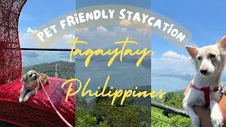 PINE SUITES PET FRIENDLY TAGAYTAY STAYCATION & RSM RESTAURANT 🐶