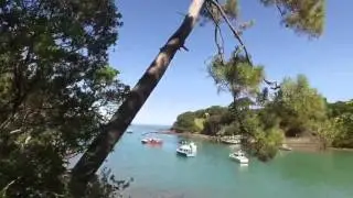 Leigh Wharf walk, Leigh, Auckland, New Zealand