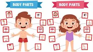 My Body Is Mine