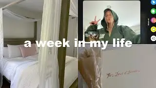 first week(ish) vlog of the summer!! 🐚🍉🤿🦋💞
