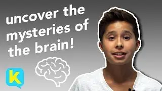 Uncover the Mysteries of the Brain | Henry Marsh | Kidspiration