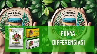PORNAS, Punya DIFFERENSIASI & HARGA KOMPETITIF