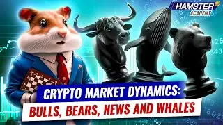 Why does the price of cryptocurrencies change so much? ⚡️Crypto Market Dynamics