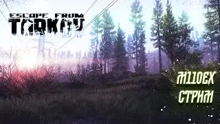 Побег из Таркова➤1440p➤стрим #35➤59lvl