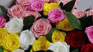 the 5-6cm preserved rose bud with the rose stem eternal flowers real natural preserved roses