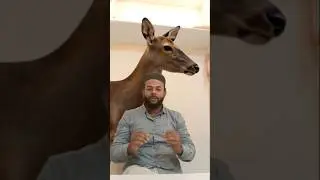 Mashallah Dear Mr.|Md&bull;&pi;&deg;| deer with me friend #viralvideo #motivation #shortvideos #shorts #myvideo