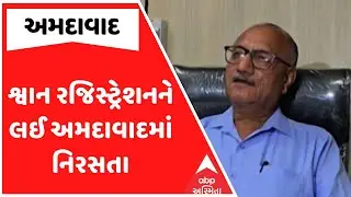 Ahmedabad Dog Registration | શ્વાન રજિસ્ટ્રેશનને લઈ અમદાવાદમાં નિરસતા, જુઓ અહેવાલ