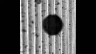 Translational Bacterial Motor (TBM) posed over a ratchet type substrate