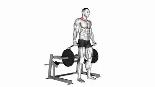 Leverage Machine Lever Shrug Workout Guide 06041201 Lever Shrug plate loaded Back