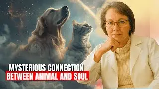 Do animals have a perception of the reincarnation of kindred souls? | Elisabeth K&uuml;bler-Ross