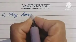 Characteristics of vertebrates class 4/5