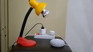 Google Nest Mini & Smart WIFI Plug
