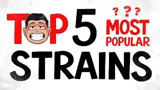 TOP 5 Most Popular STRAINS.....Explained