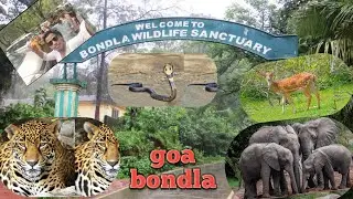 Bondla wildlife sanctuary | Bondla wildlife sanctuary goa | Bondla zoo | Bondla zoo goa | Bondla