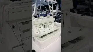 Invincible 35&rsquo; Cat