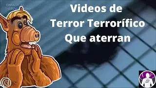 Videos aterradores que aterran |#videoreaccion|