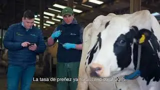 ACW Crutchley Farms | Español