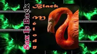Timothy McNealy - So Glad You're Mine + What's Going On