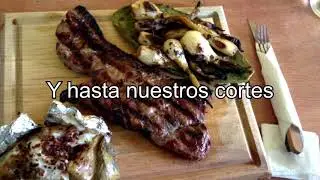 tacubos 6 1