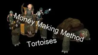 Runescape Money Making Method - Tortoises - 384k/h