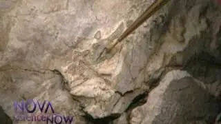 NOVA scienceNOW | Free the fossils!