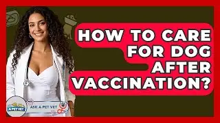 How To Care For Dog After Vaccination? - Ask A Pet Vet