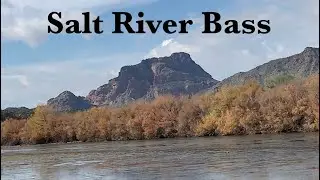 Winter Bass Fishing The Salt River.