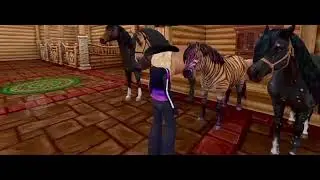 My horses 