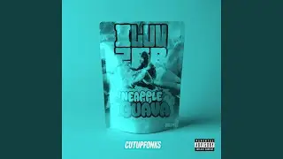 Pineapple & Guava (feat. Bani) (Fast)