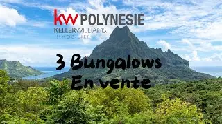 OPPORTUNIT&Eacute;E INVESTISSEURS Bungalows Haapiti