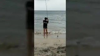 Catch the turtles Boavista Capo Verde... senza volerlo by hobbypesca