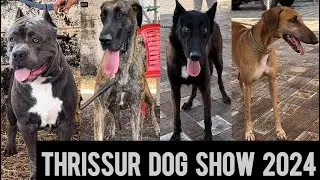 Thrissur Dog Show 2024.