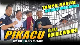 MURAI BATU PIKACU MILIK Mr. AJI TAMPIL BRUTAL RAIH JUARA DOUBLE WINNER DI PIALA RAJAWALI INDONESIA