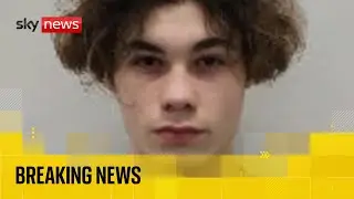 Man, 18, sentenced for murdering 16-year-old Harry Pitman in New Year's Eve attack