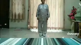Traditional Wellness Qigong Baduanjin