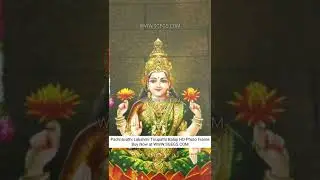 Padmavathi Lakshmi Tirupathi Balaji HD Photo Frame | WWW.SGEGS.COM #shorts #tirupati #tirumala