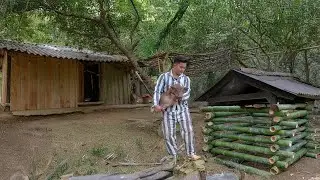after prison - i built a pigsty and raised my first pig