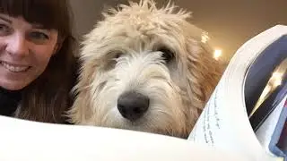 IES Video