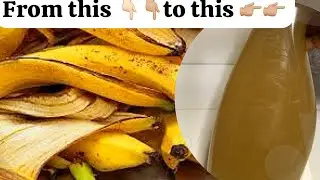 MAKE YOUR HOMEMADE FERTILIZER FROM PLANTAIN PEEL/ EMBRACE NATURE’S GOODNESS #fertilizer #vlogmasday4