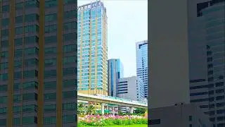 #travel #views #flowers #bts #train #shorts #build #exercise #running #rain #park #bangkok #thailand