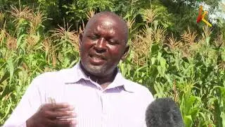 Yatta water harvesting