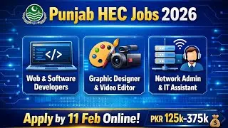 Punjab HEC Jobs 2026 | Web, Software, IT, Design & Media Positions | Apply Online by 11 Feb