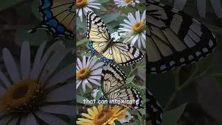 Butterflies Can Be Drunk if ... #shorts #ai #facts #randomfacts #amazingfacts