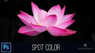 Плашечный цвет в Adobe Photoshop