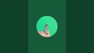 Dasar Monyong