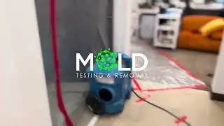 Mold Removal Miami 786 638-0187