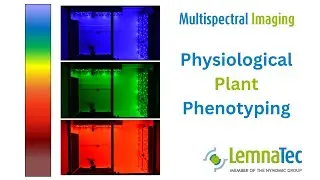 Multispectral Imaging for Plant🪴 Phenotyping